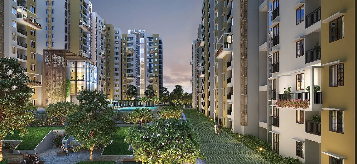 Purva Belmont