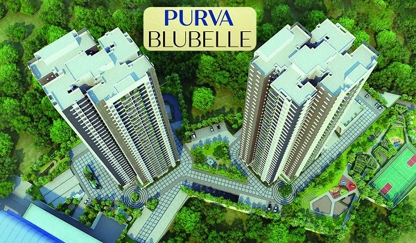 Purva Bluebelle